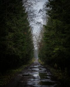 Тендер на дорогу до Буковелю скасовано: деталі резонансу