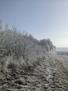 Сильні морози до -22°: прогноз погоди в Україні на тиждень
