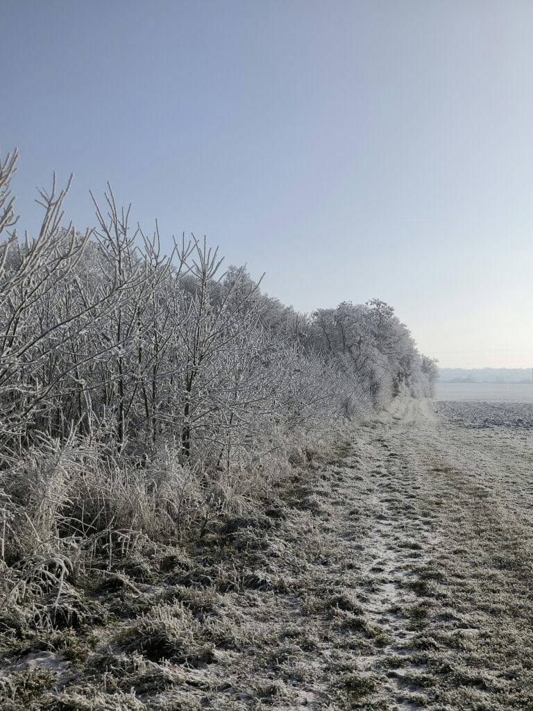 Сильні морози до -22°: прогноз погоди в Україні на тиждень