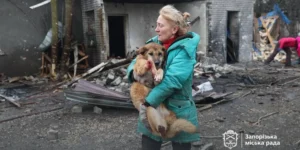 У Запоріжжі через удар РФ постраждав притулок для собак